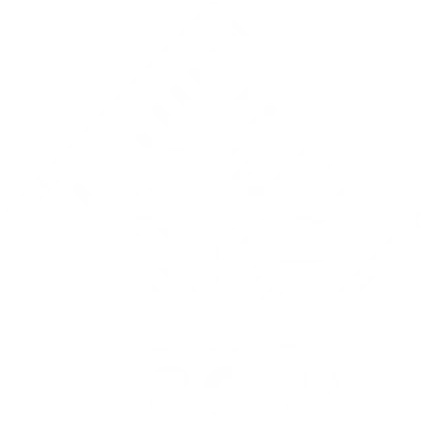 ISCN