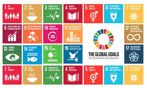Maintaining the momentum of achieving SDG targets post-COVID-19