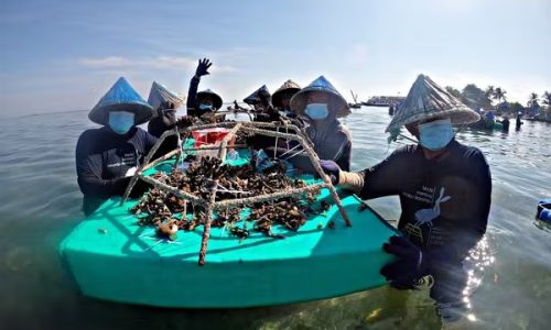  Konservasi laut membutuhkan upaya bersama dan kebijakan berbasis riset memadai. (Sumber: Coral Triangle Center) 