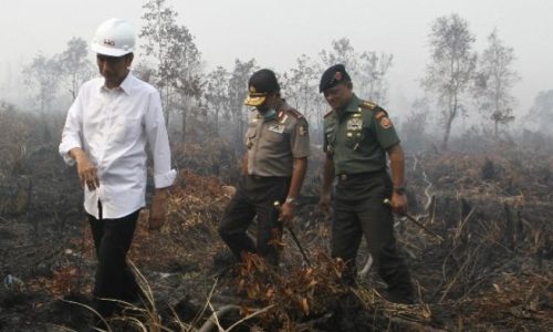 Is Indonesia’s fight against forest fires falling short?